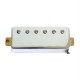 Mini humbuckers